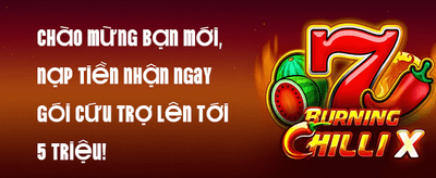 Giới Thiệu Bạn Bè Nhận Thưởng promotion banner